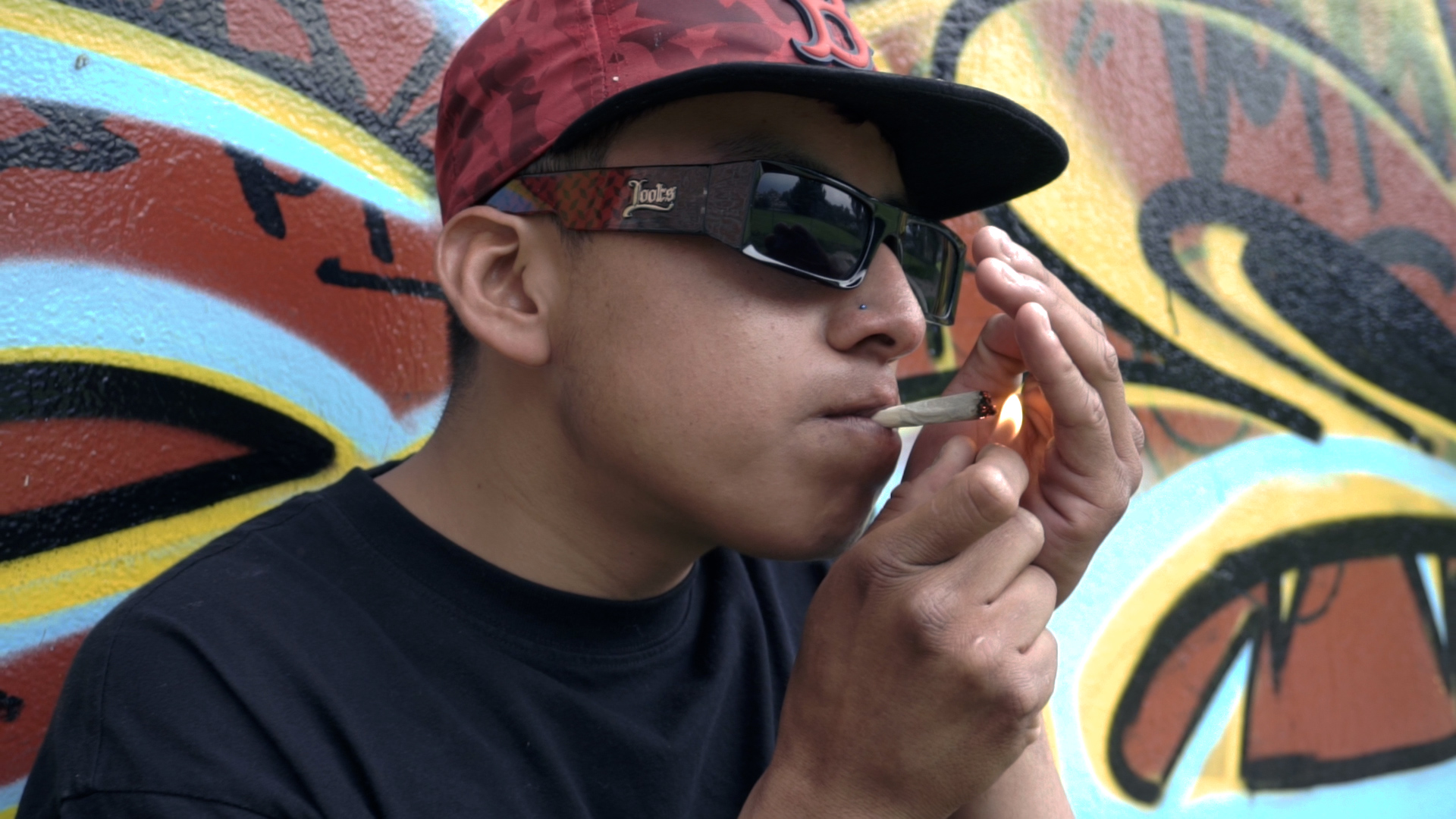 Descripción de la imagen