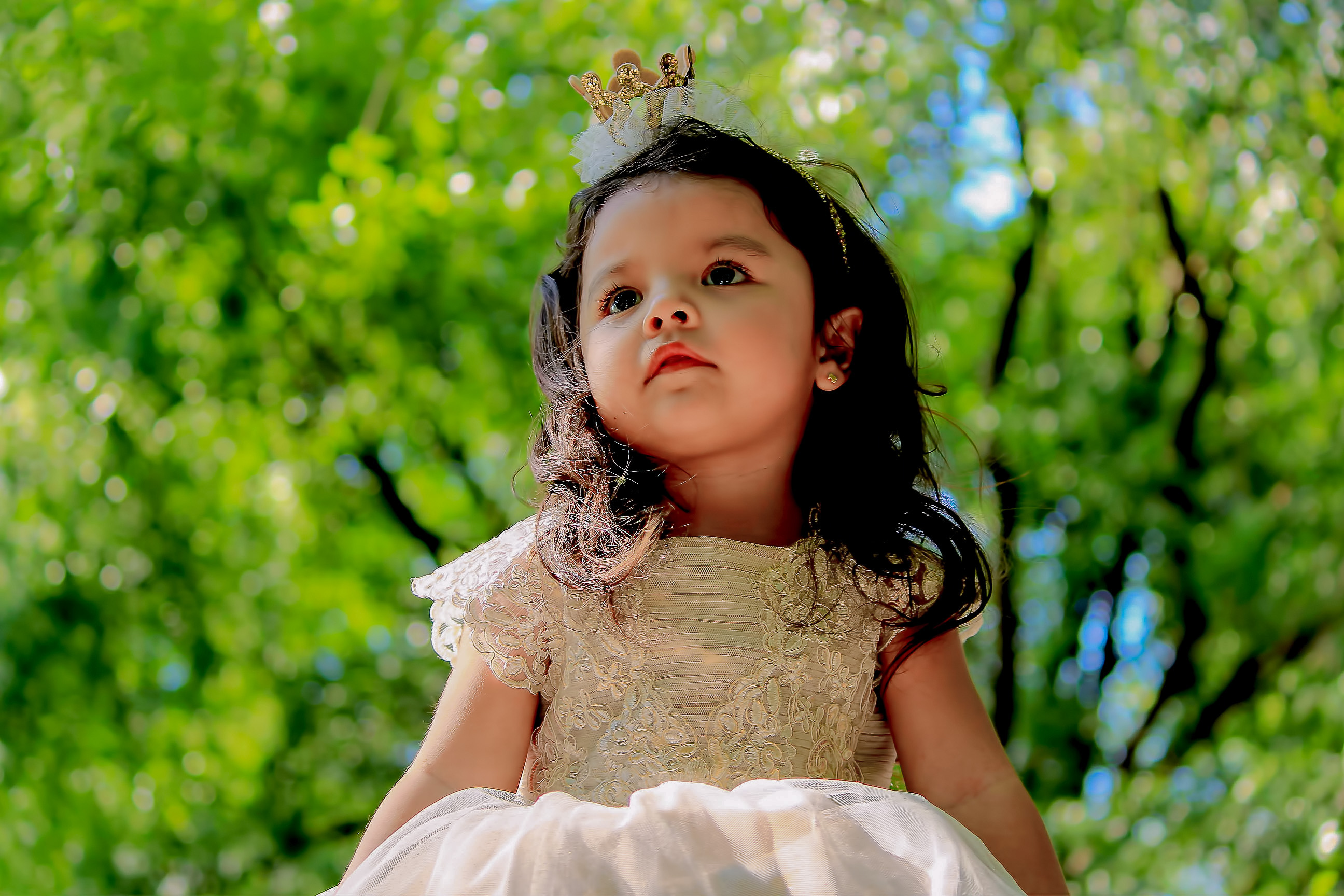 Servicio de Fotografía